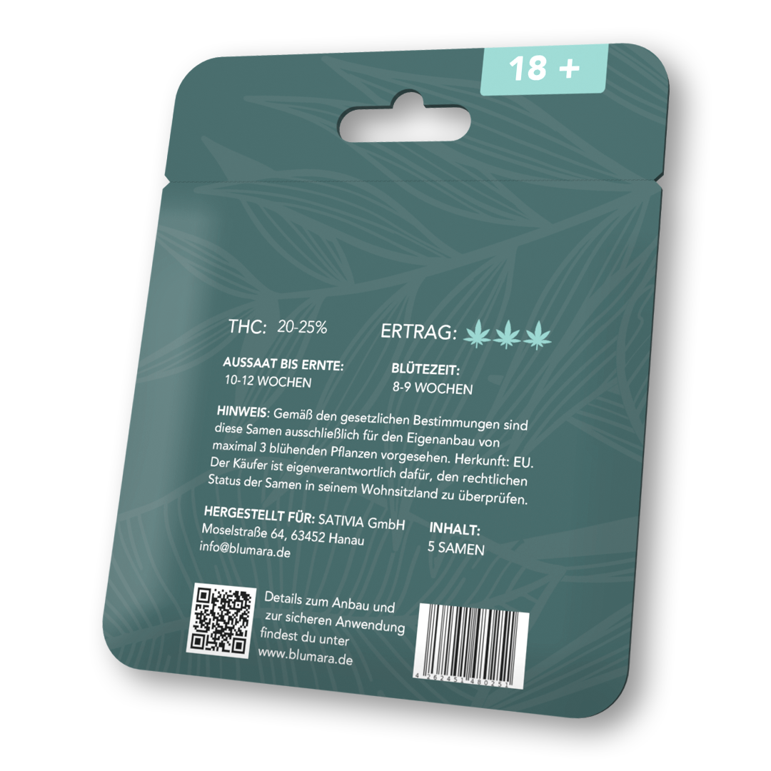 Gelato | Autoflowering