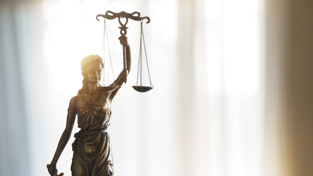 Cannabis-Legalisierung in Deutschland: Was bedeutet das für den Eigenanbau?