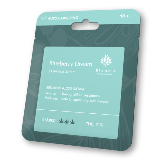 Blueberry Dream | Autoflowering
