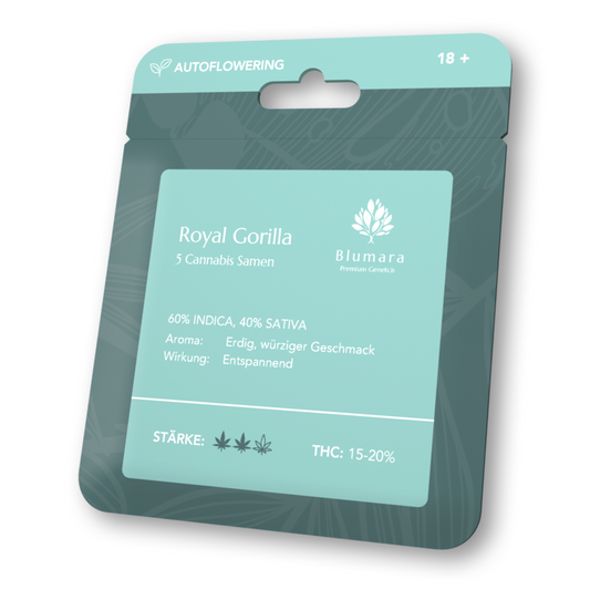 Royal Gorilla | Autoflowering